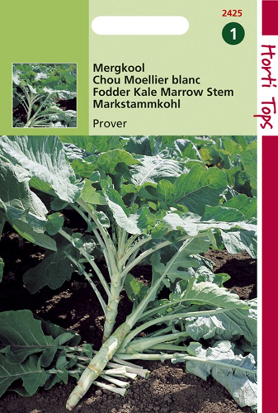 Marrow Stem Kale Tronchuda (Brassica) 300 seeds